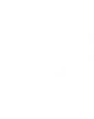 Tax Practitioners Board registered BAS agent 26239122